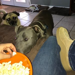 Meet your Posher, Fabi